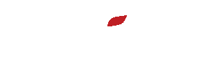 Along Racewear Logo